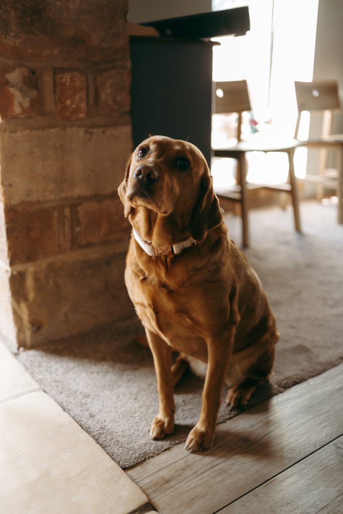 Beth & Rob's wedding at Carwinley Barn, Cumbria — the morning