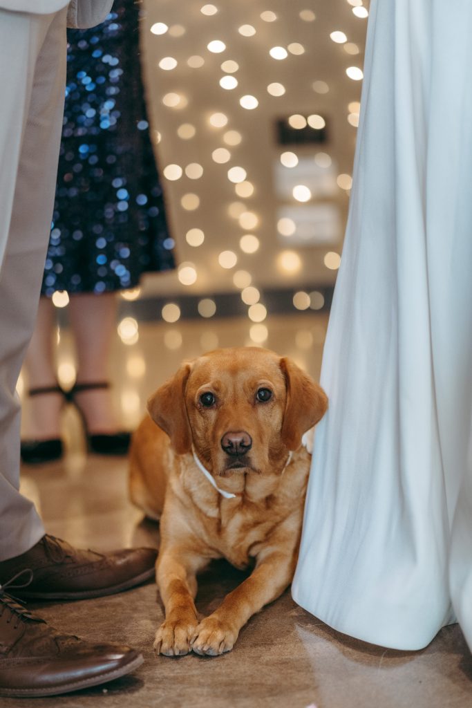 Beth & Rob's wedding at Carwinley Barn, Cumbria — the ceremony
